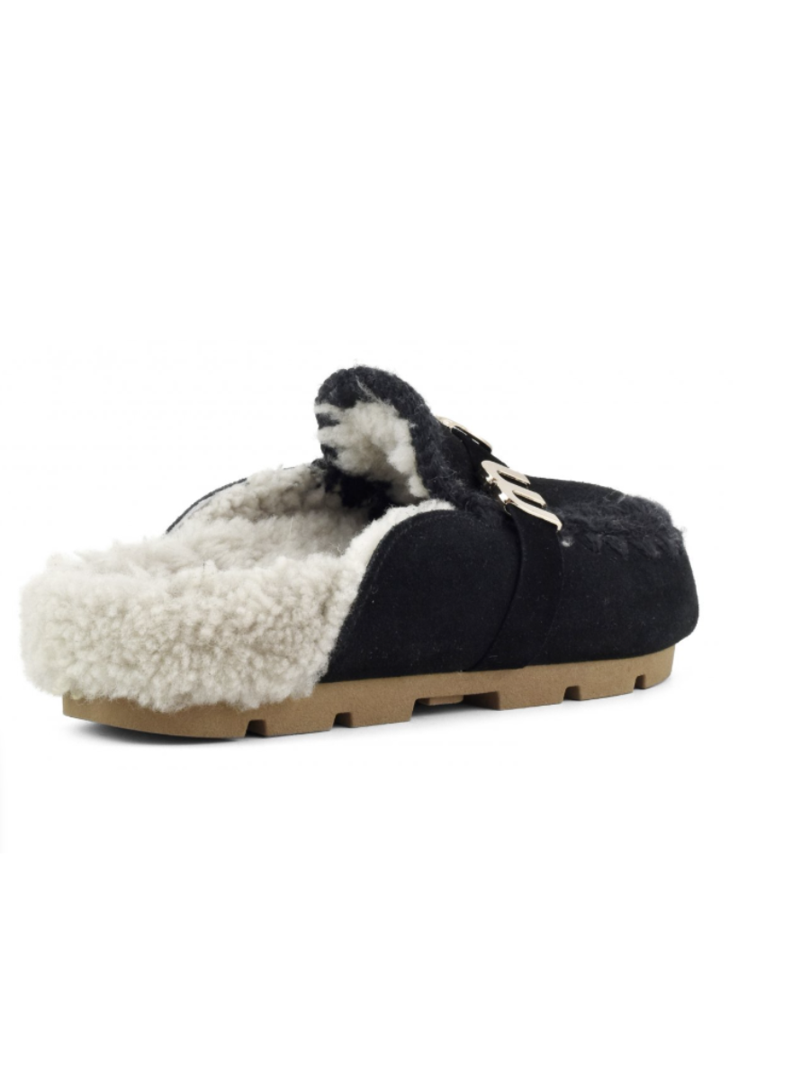 Mou winter bio slide