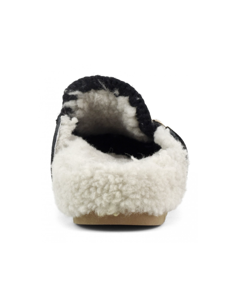 Mou winter bio slide