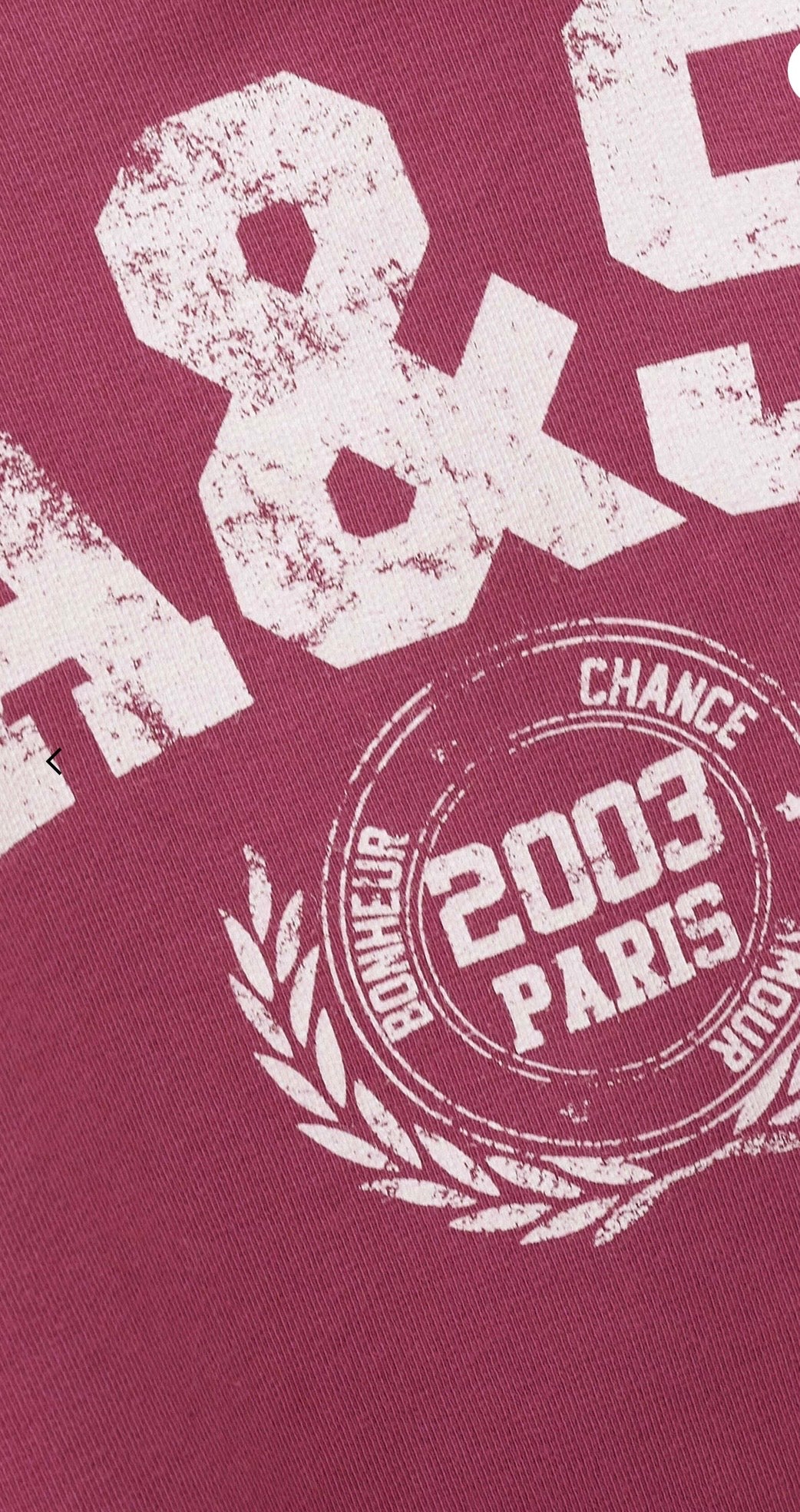 BA&SH Beata Sweat Pink